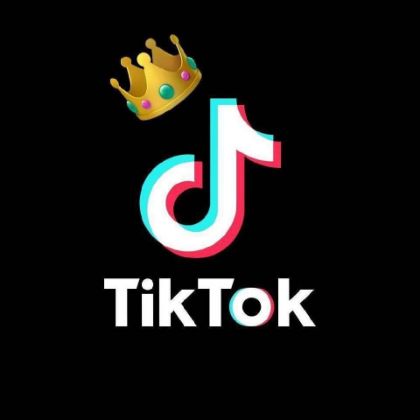 Picture for manufacturer TikTok